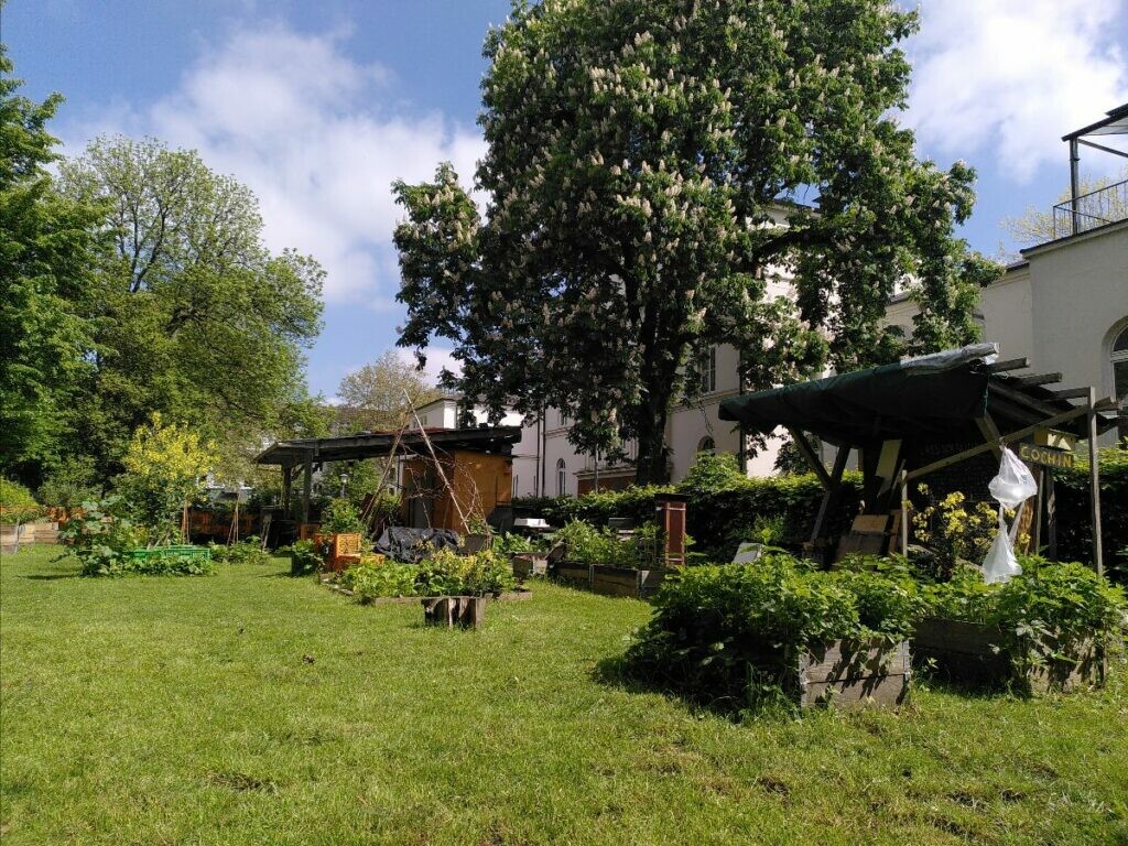 Unser aktueller Standort der neue Garten